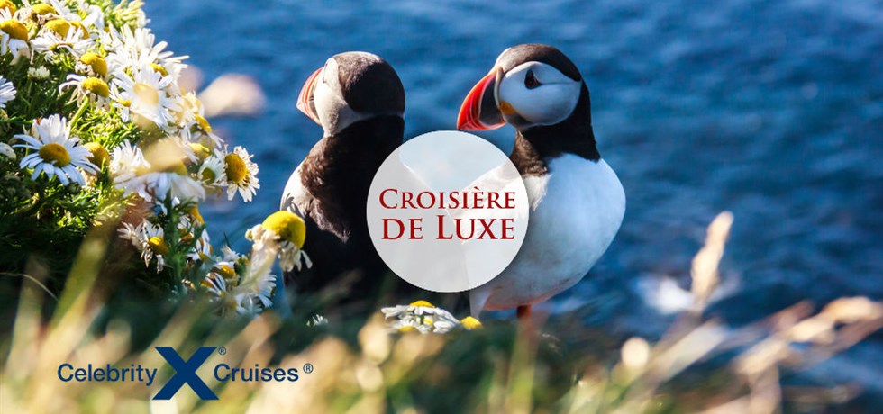 VENTE FLASH jusqu'au 24 octobre ! Croisière de LUXE 11 jours Islande, Irlande, Ecosse
