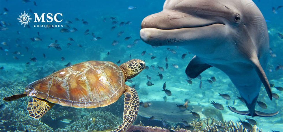 Super Prix Dès 1099€ Vol aller inclus 21 jours Transatlantique Cuba, Caraïbes, Madere, Espagne, Malte, Croatie