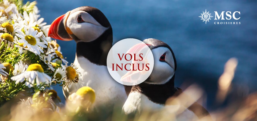 Offre Wow : Dès 1126€ Vols Inclus Croisière Islande et Norvège - 13 jours