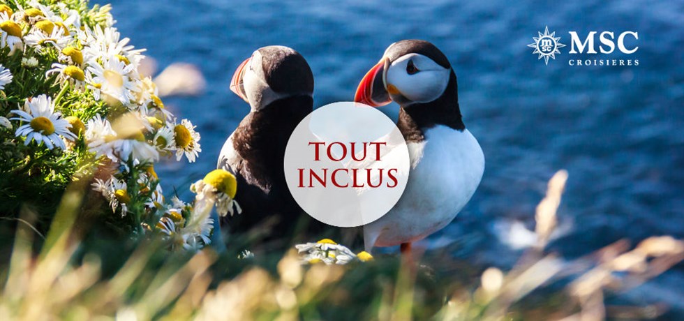 OFFRE TOUT INCLUS: Boissons et services compris** ! Vols inclus 13 jours Islande et Écosse