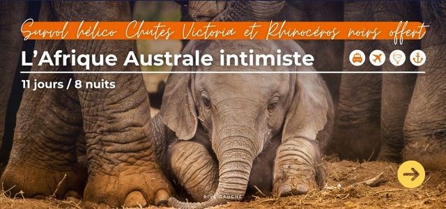 Safari-Croisière Afrique Australe : 2 EXCURSIONS OFFERTES : Survol hélico Chutes Victoria et Rhinocéros noirs
