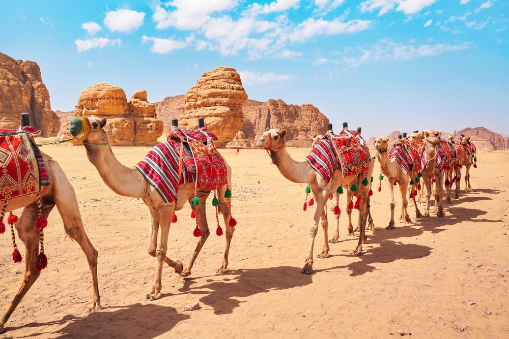 Circuit Regard sur le royaume d'Arabie, d'Al-'Ula à Djeddah