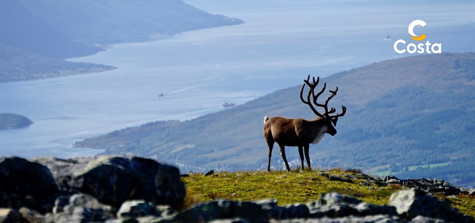 EXCLUSIVE : SURCLASSEMENT EN BALCON** Vols inclus Fjords, Cap Nord et Iles Lofoten