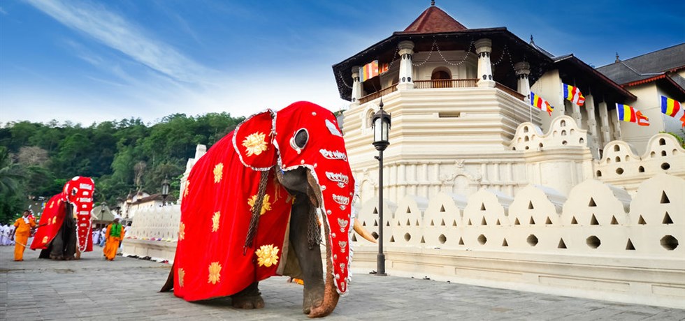 Réservez Tôt** -100 €/pers ! Sri Lanka