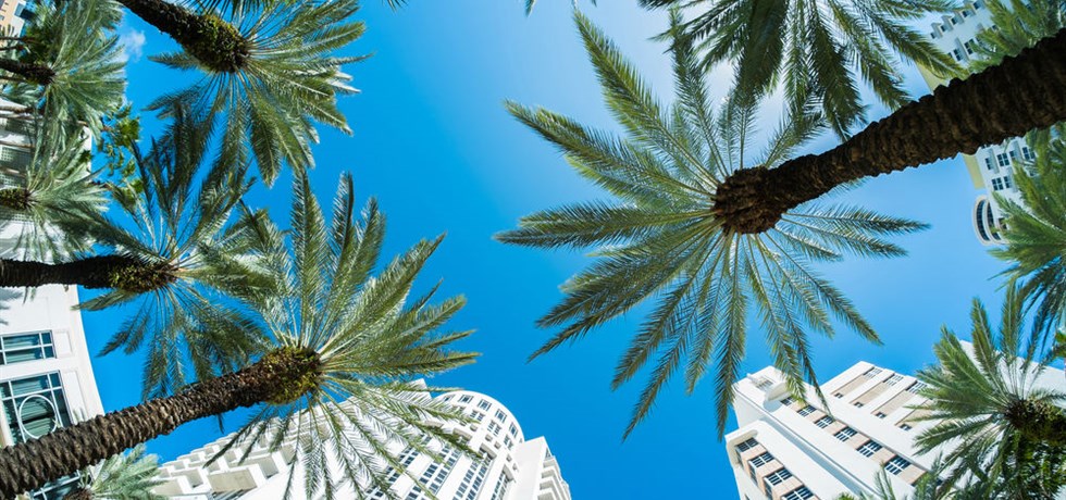 Avant Premiere -100 € ** 1ER REGARD NEW YORK & BAHAMAS